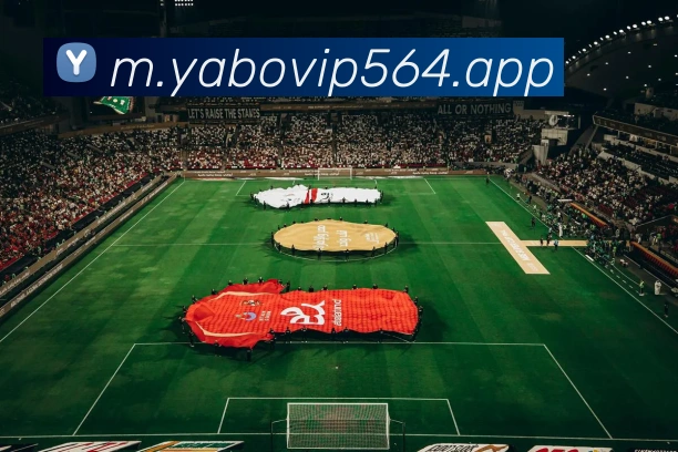 yabo亚博APP 高清赛事图